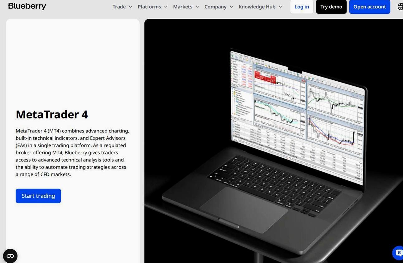 The platform page on the Blueberry Markets website